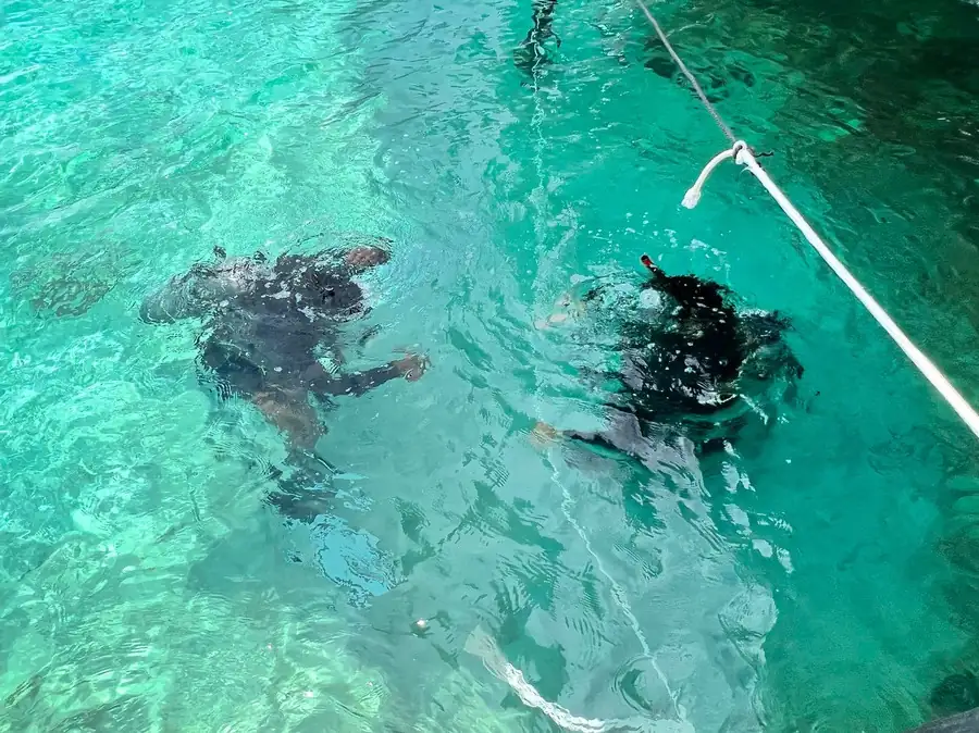 Two divers in the shallow waters near the resort Anyu Pool Villa Resort