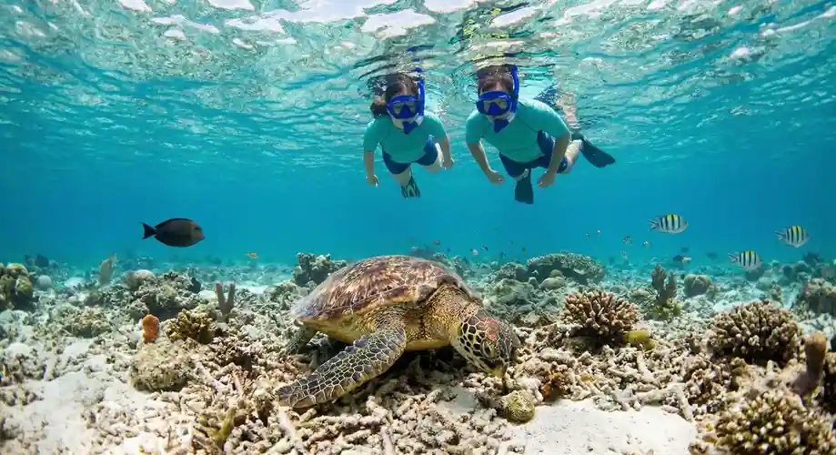 Encountering a sea turtle while snorkeling in Semporna Anyu Pool Villa Resort